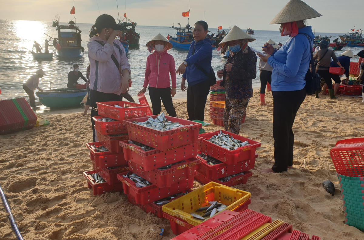Chợ cá biển Nhân Trạch có từ bao giờ?