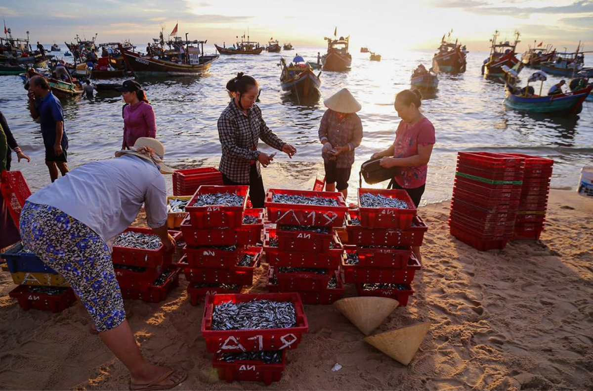 Mua hải sản tươi ngon – Giá cả cực “hời”