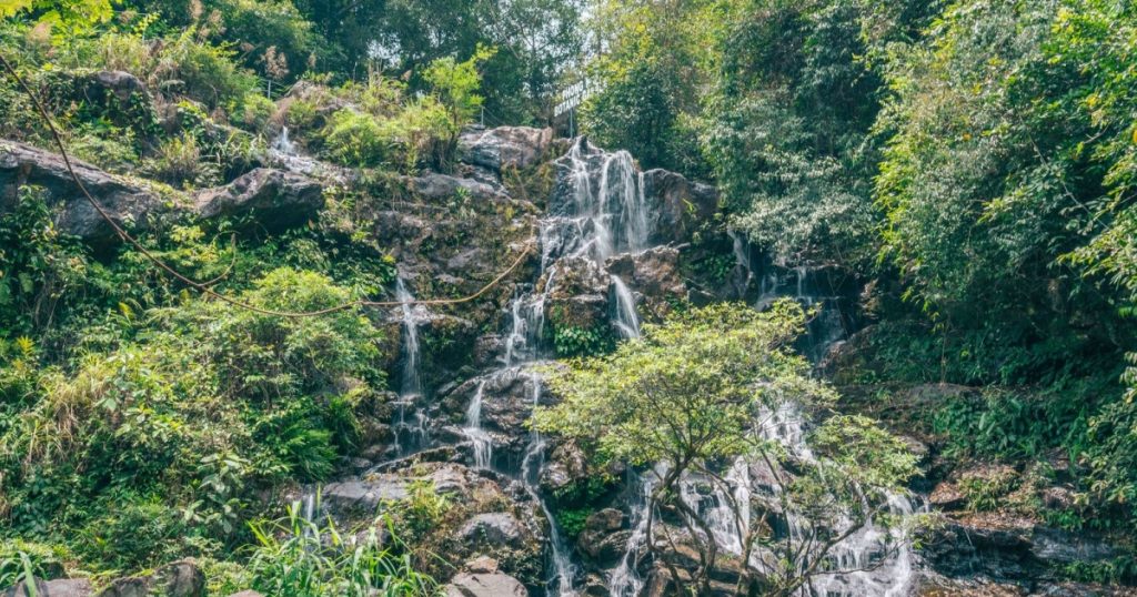 Vườn Thực Vật Thác Gió Giữa Rừng Phong Nha Kẻ Bàng