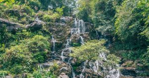 Vườn Thực Vật Thác Gió Giữa Rừng Phong Nha Kẻ Bàng