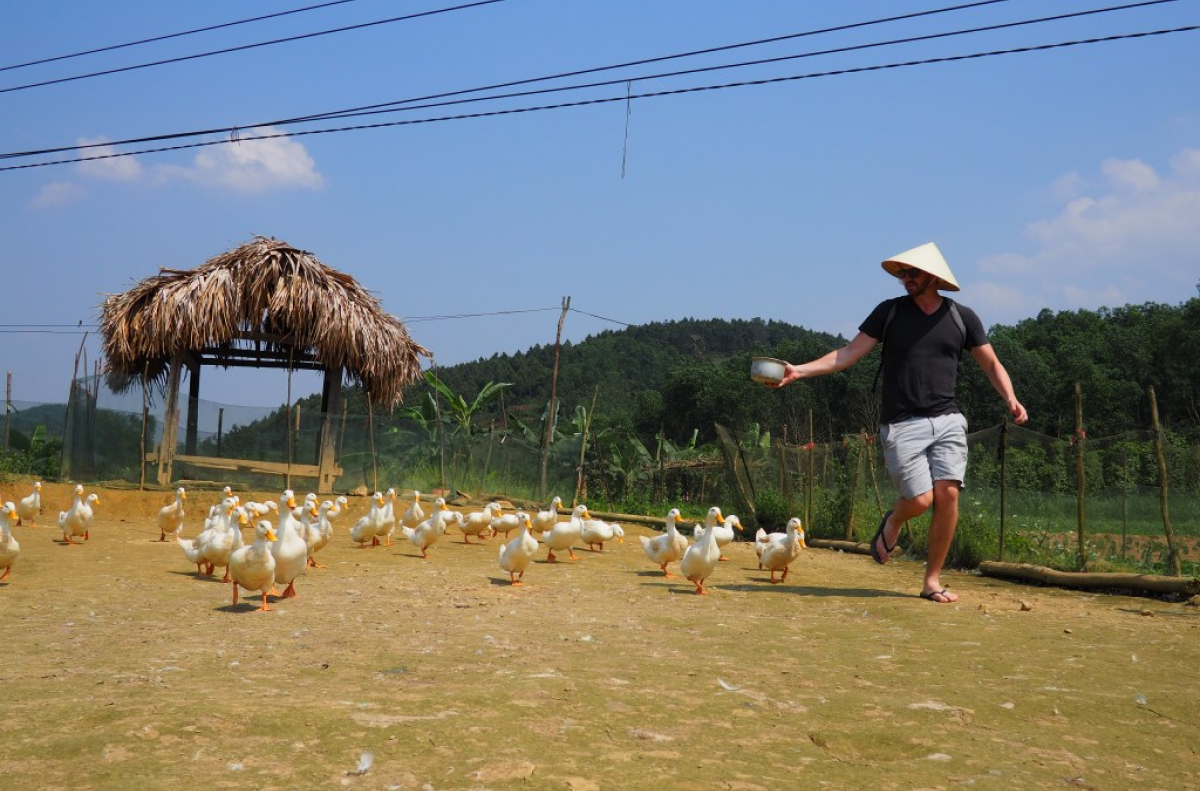Một ngày làm nông dân giữa thung lũng Bồng Lai