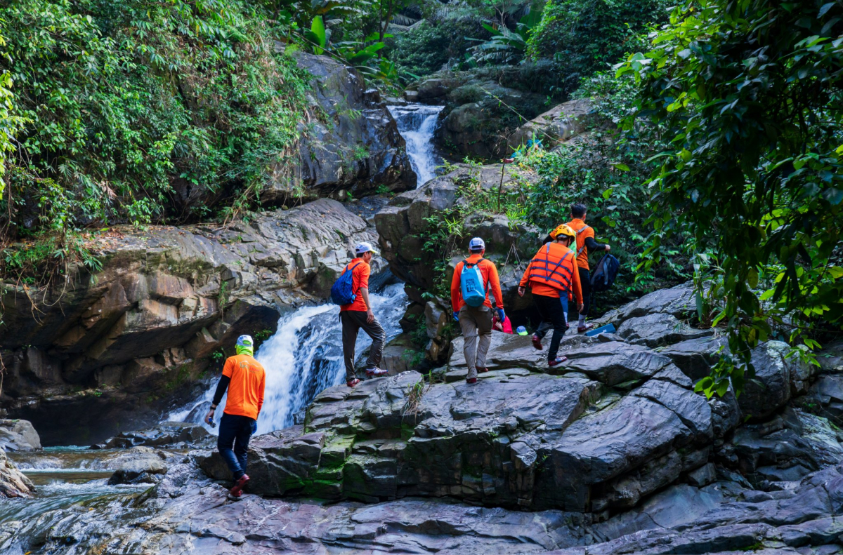 Hành trình trekking kỳ thú qua rừng già
