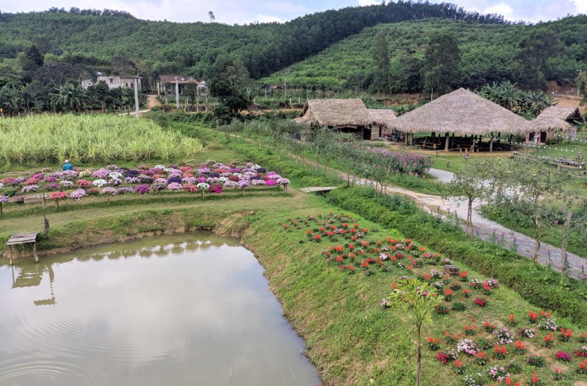 Hướng dẫn đường đi đến Đồng Soi Farm Quảng Bình