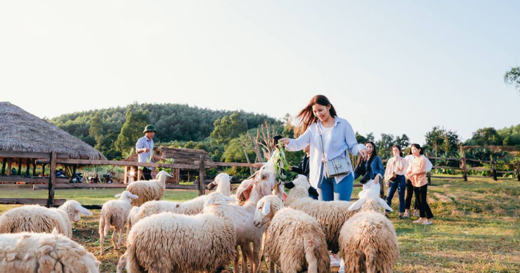 Khám Phá Đồng Soi Farm Quảng Bình - Kinh Nghiệm Check-in cần biết