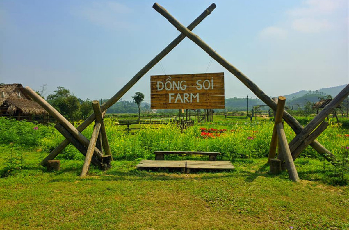 Thư giãn trong không gian xanh, kết nối với cuộc sống bình yên