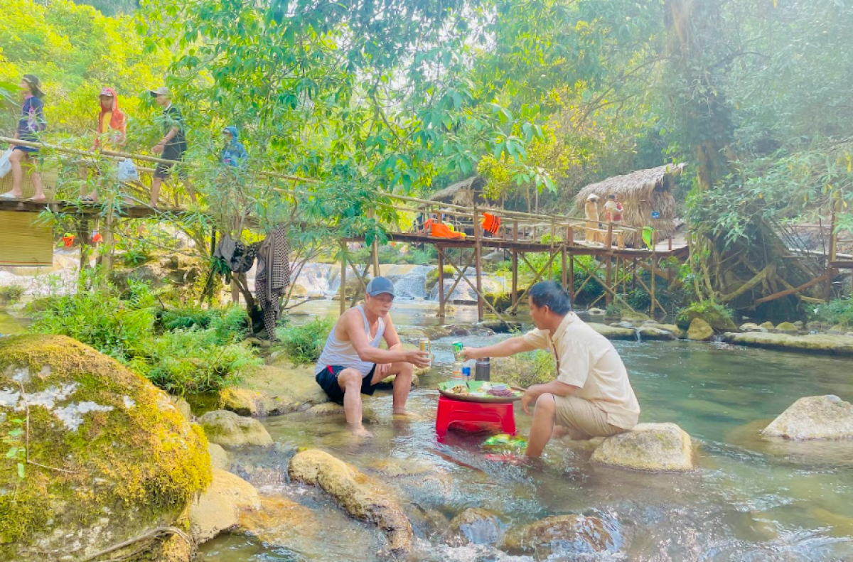Thức dậy giữa rừng nguyên sơ