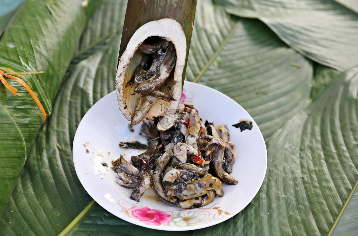 Đặc sản Minh Hóa chắc chắn phải thử một lần 4 Cá suối nướng ống tre – Hương vị núi rừng khó quên