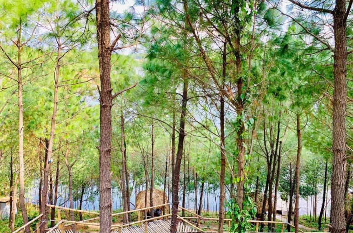 Thiên đường “sống ảo” với loạt tiểu cảnh xinh xắn