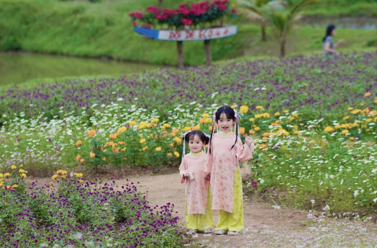 Làng hoa Lý Trạch – “Thung lũng hoa” rực rỡ giữa lòng Quảng Bình