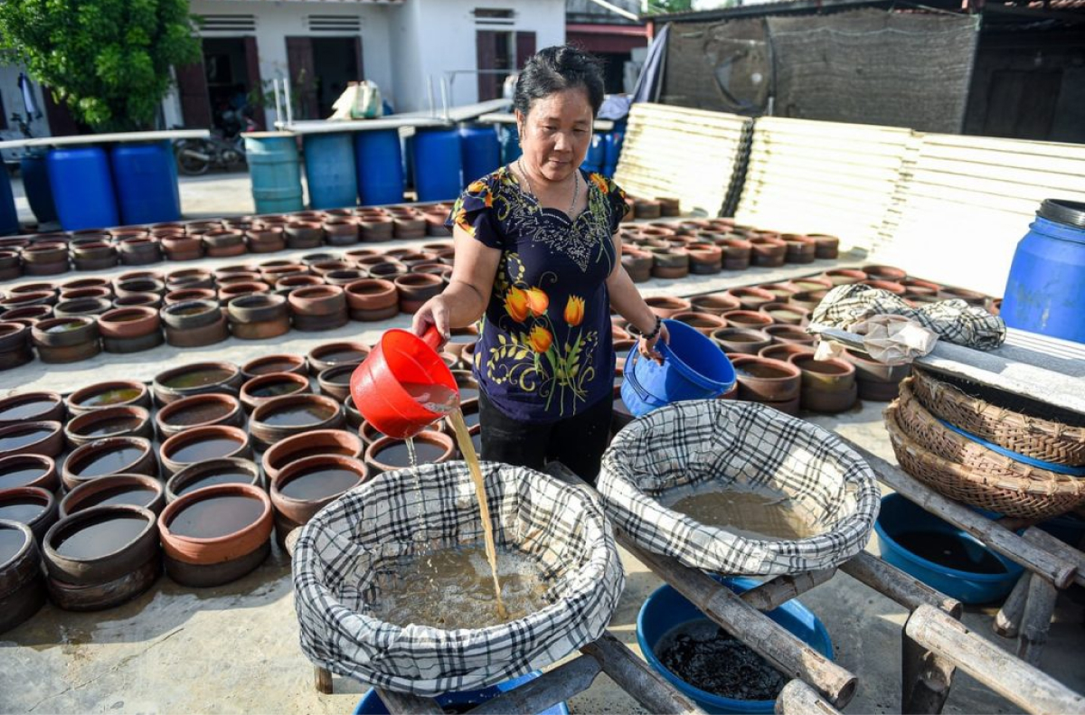Làng nghề nước mắm Cảnh Dương – làng nghề của Quảng Bình