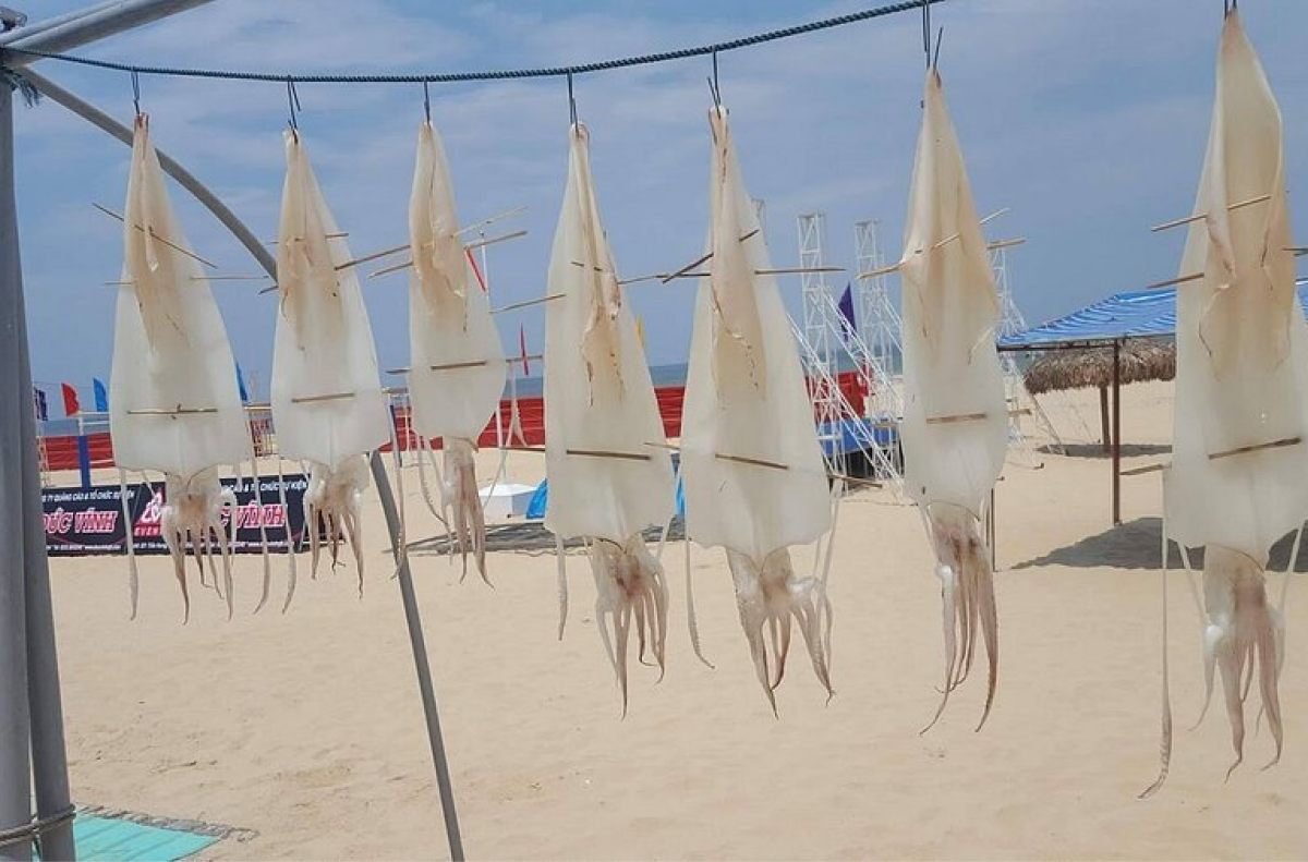 8+ địa chỉ ăn hải sản tươi ngon tại Quảng Bình 6 Quán Mệ Toại – Hương vị hải sản miền Trung mộc mạc