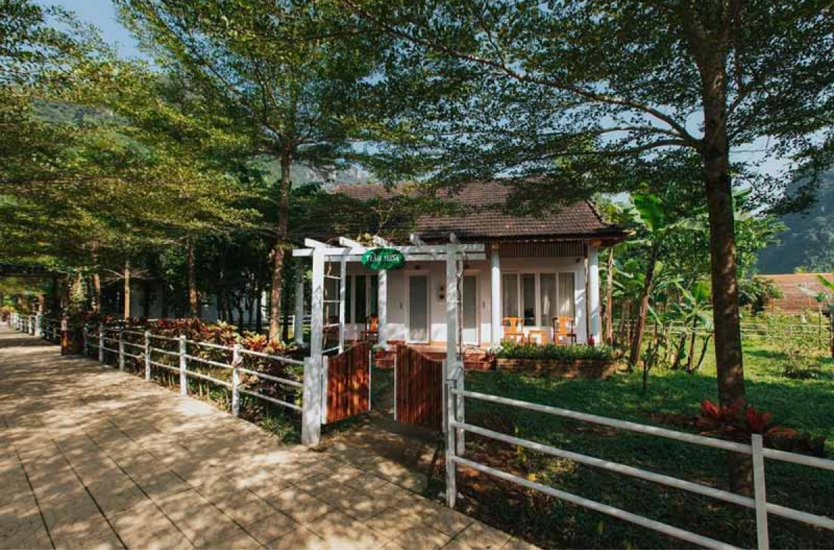 Trằm House – Góc bình yên ẩn mình sau hàng rào cây