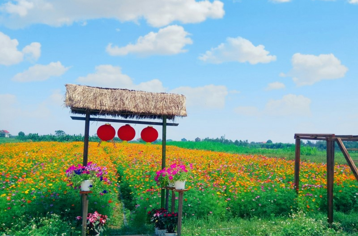 Vườn hoa Khe Chè – Thơ mộng bên dòng sông uốn lượn