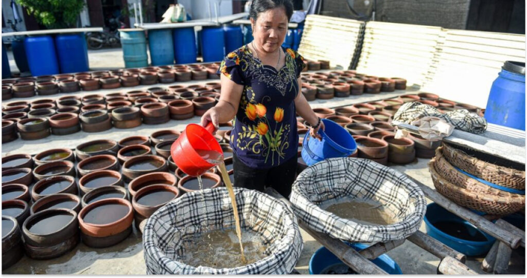 Khám Phá Nét Đẹp Làng Nghề Nước Mắm Cảnh Dương