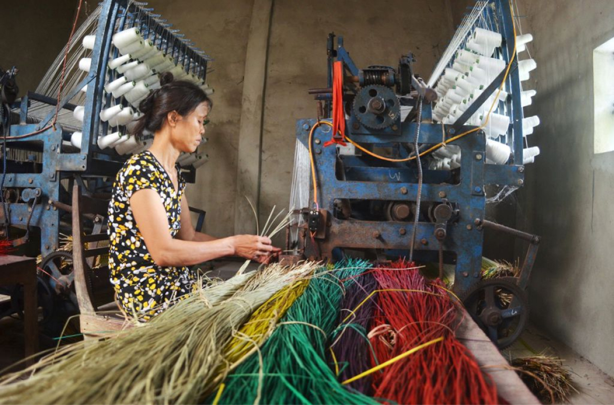 Quy Trình Chế Tác Chiếu Cói An Xá