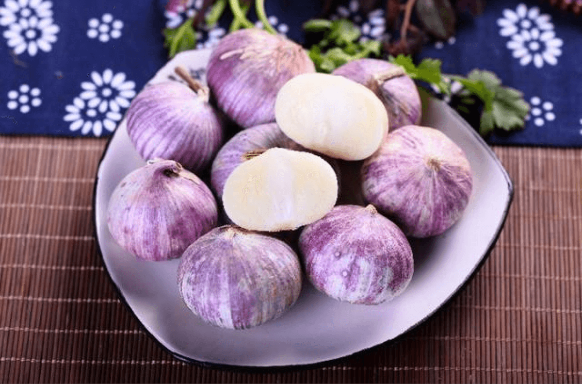 Tỏi tía Quang Minh – đặc sản làm quà khi du lịch Ba Đồn