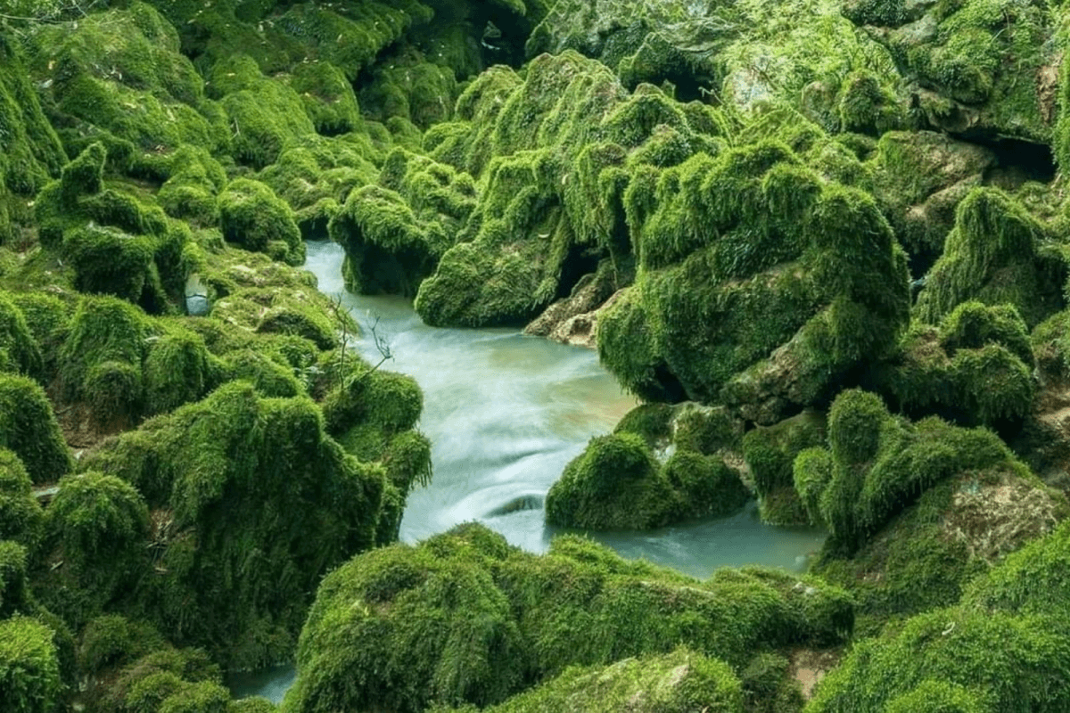 Hang Hung Thoòng ở đâu?