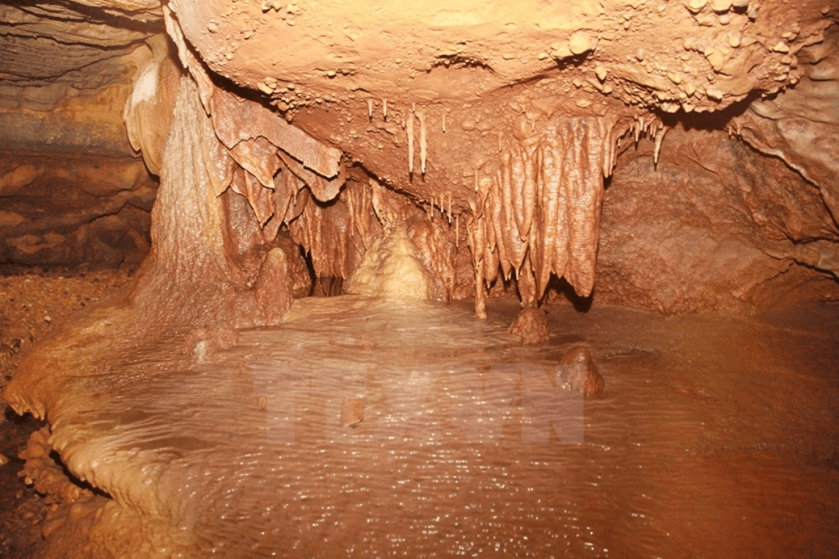 Thời điểm đẹp để khám phá động Brai