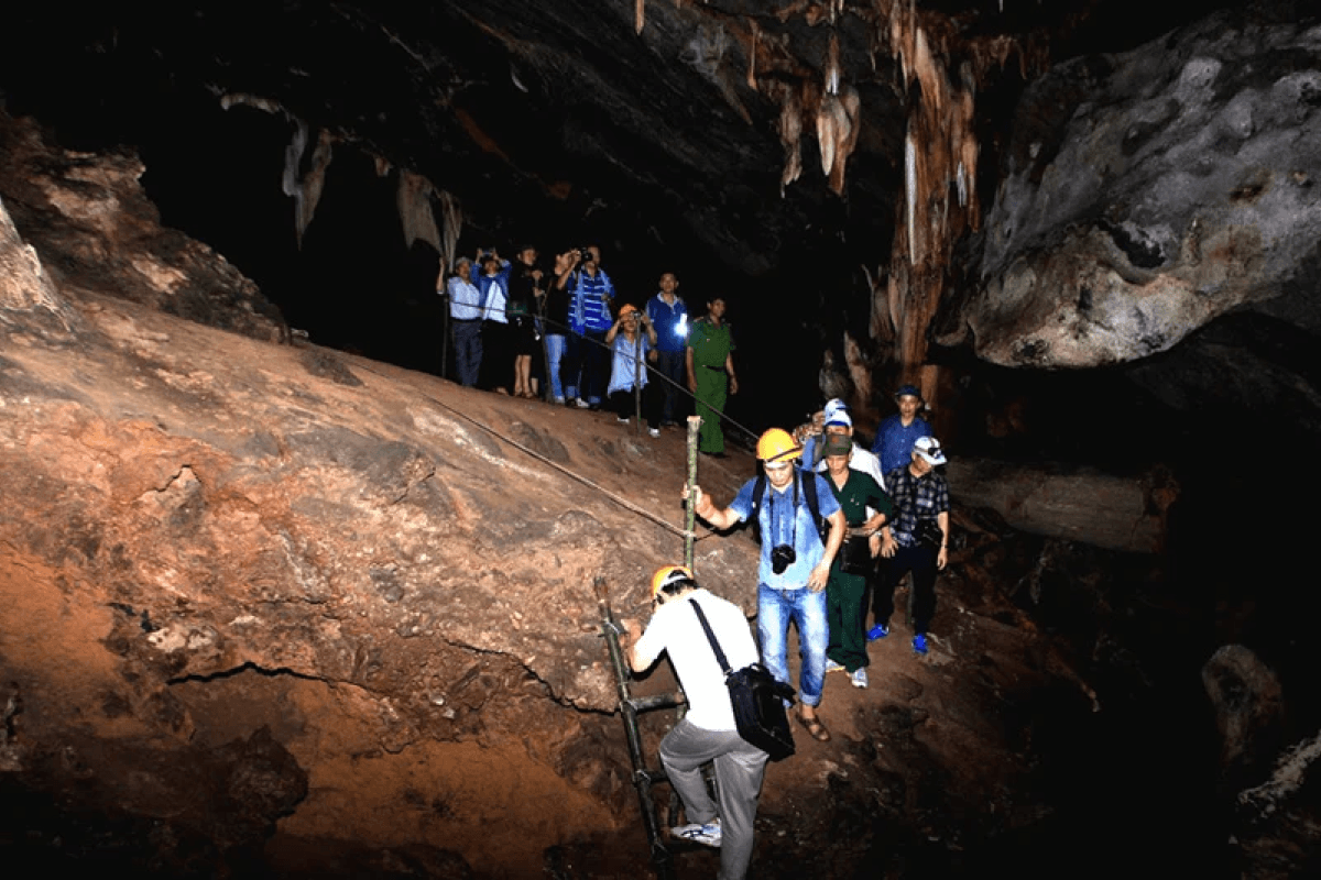 Trải nghiệm khám phá động Brai