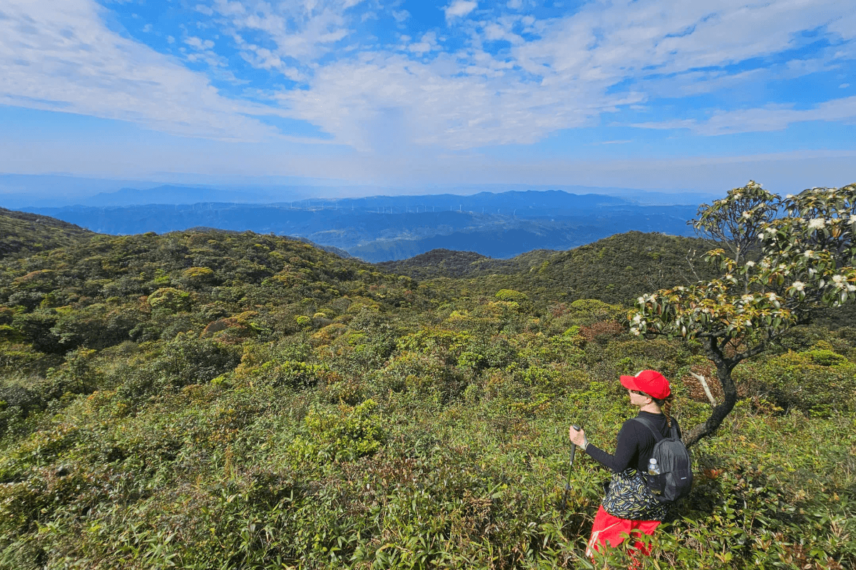 Núi Talung, Núi Klu – Điểm Trekking Hoang Sơ tại Quảng Trị 6 Kinh nghiệm trekking núi rừng Đakrông