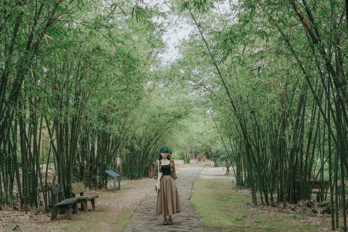 Thời điểm đẹp để tham quan địa đạo Vịnh Mốc