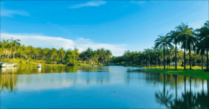 Công Viên Sinh Thái Cọ Dầu – Không Gian Xanh Giữa Lòng Đông Hà