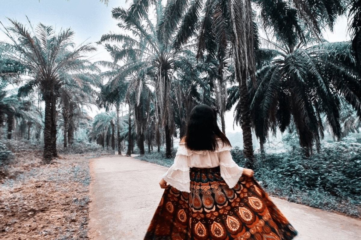 Công viên sinh thái Cọ Dầu nằm ở đâu?