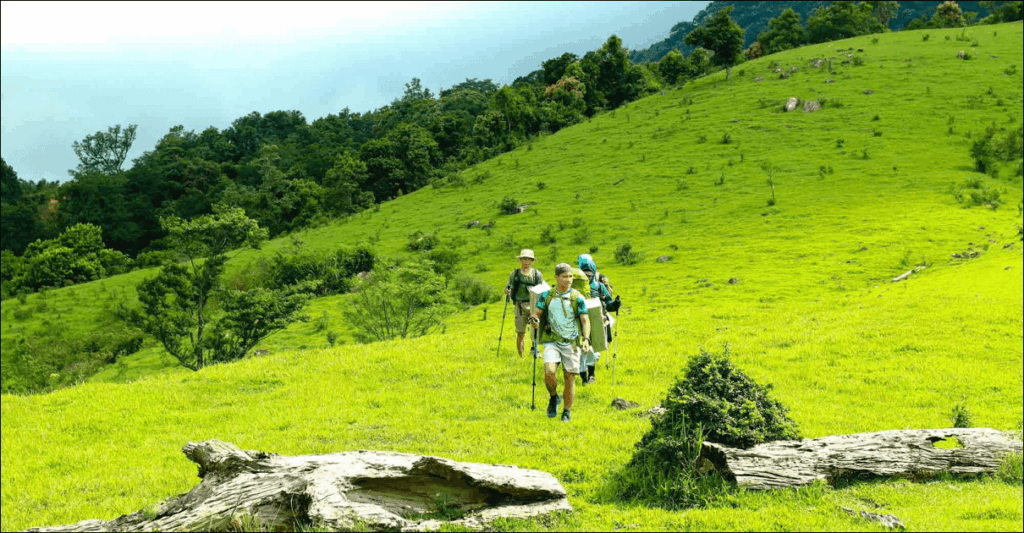 Đồi Cỏ Xa Reng – Điểm Trekking Giữa Đại Ngàn Quảng Trị