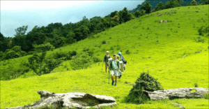 Đồi Cỏ Xa Reng – Điểm Trekking Giữa Đại Ngàn Quảng Trị