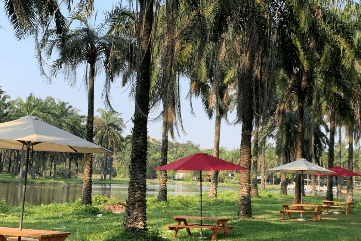 Không gian tại Công viên sinh thái Cọ Dầu có gì nổi bật?