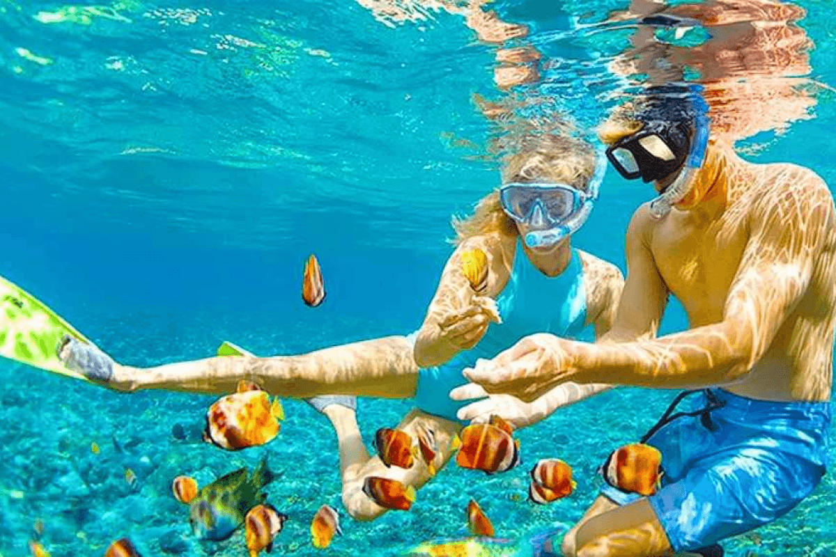 Kinh nghiệm đi đảo Cồn Cỏ