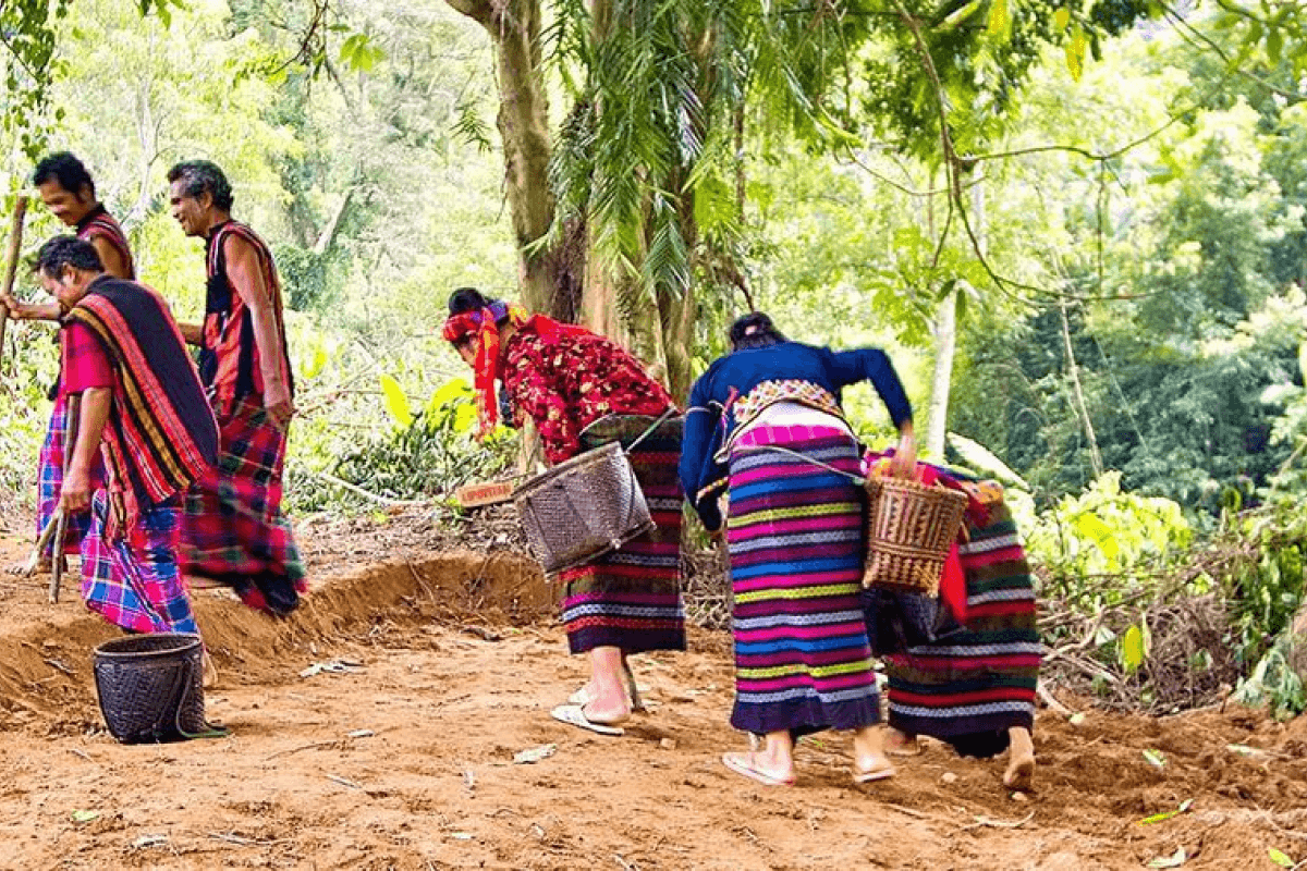 Những nét đặc sắc trong phần lễ hội trỉa lúa Quảng Trị