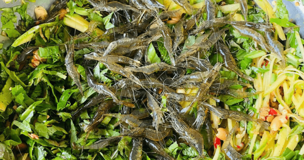 Gỏi Tép Nhảy Quảng Trị – Món Ngon Độc Đáo Gây Thương Nhớ