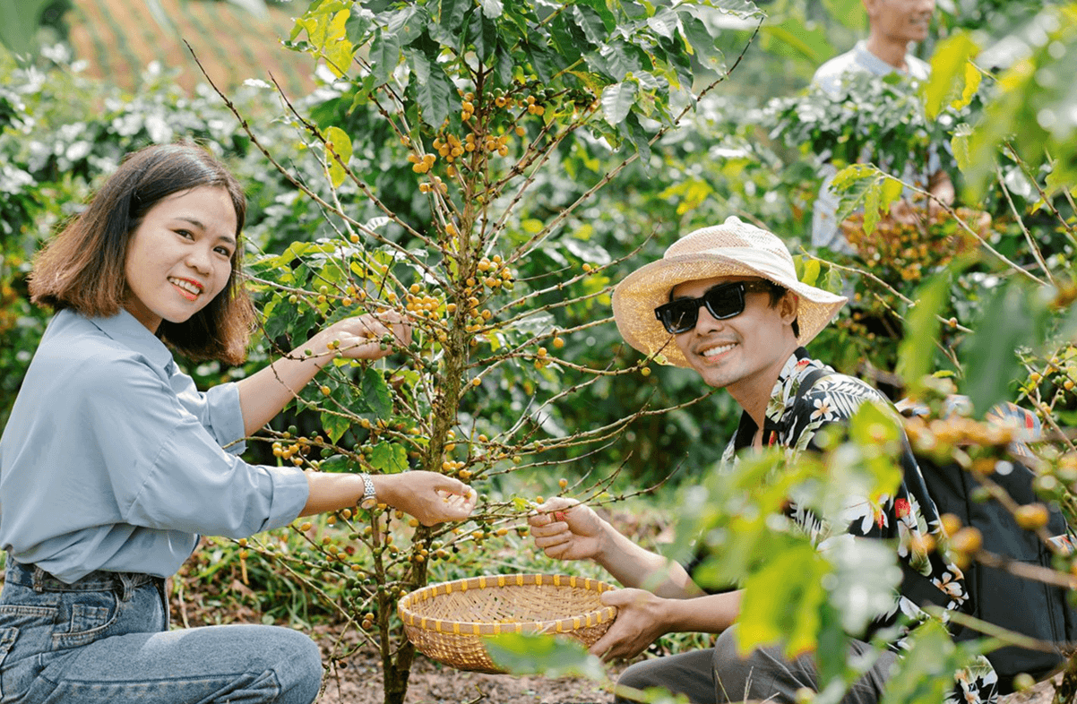Khe Sanh và “chất riêng” được tạo nên từ đất, khí hậu