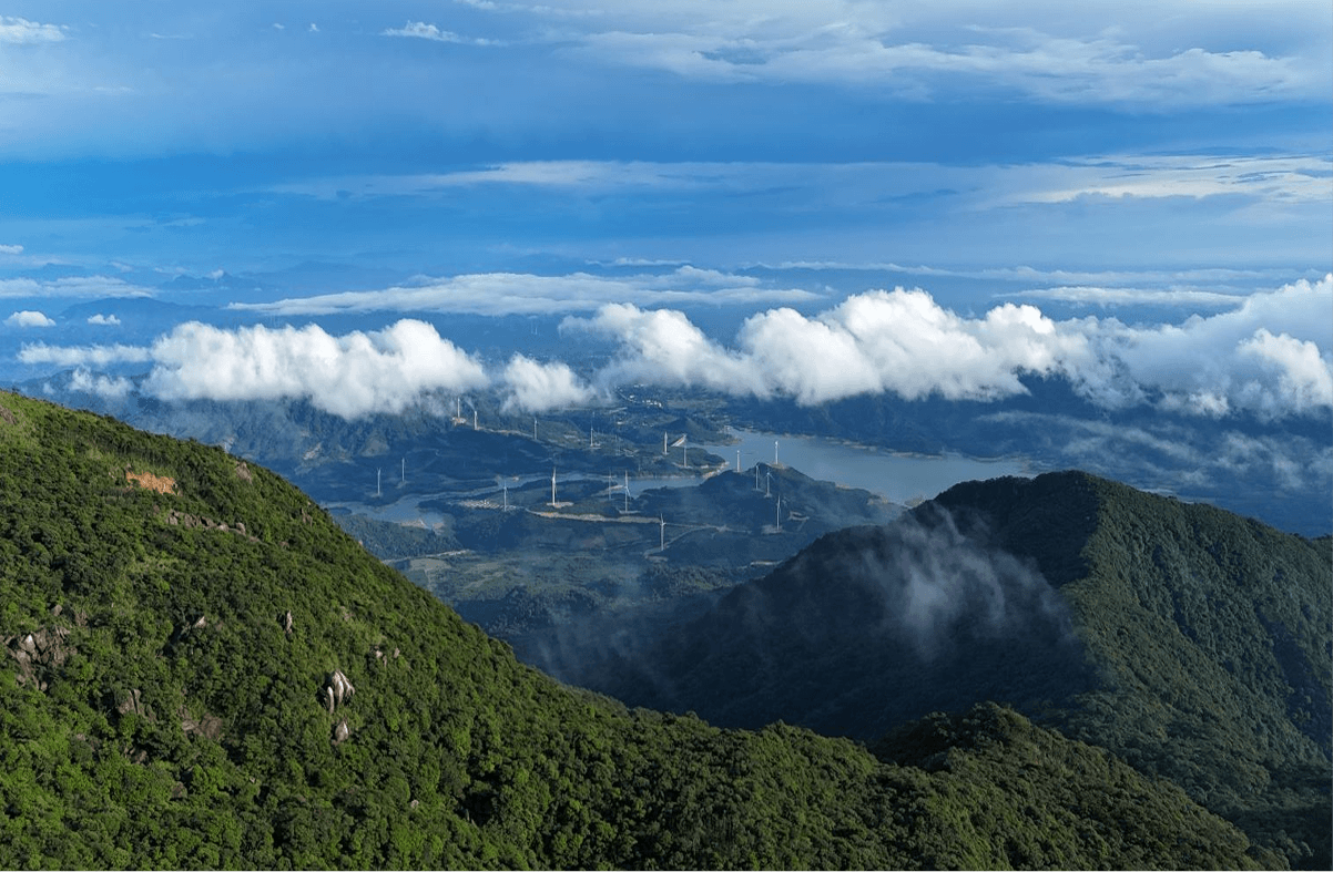 Săn mây bình minh – trải nghiệm không thể bỏ lỡ tại cánh đồng điện gió Quảng Trị 