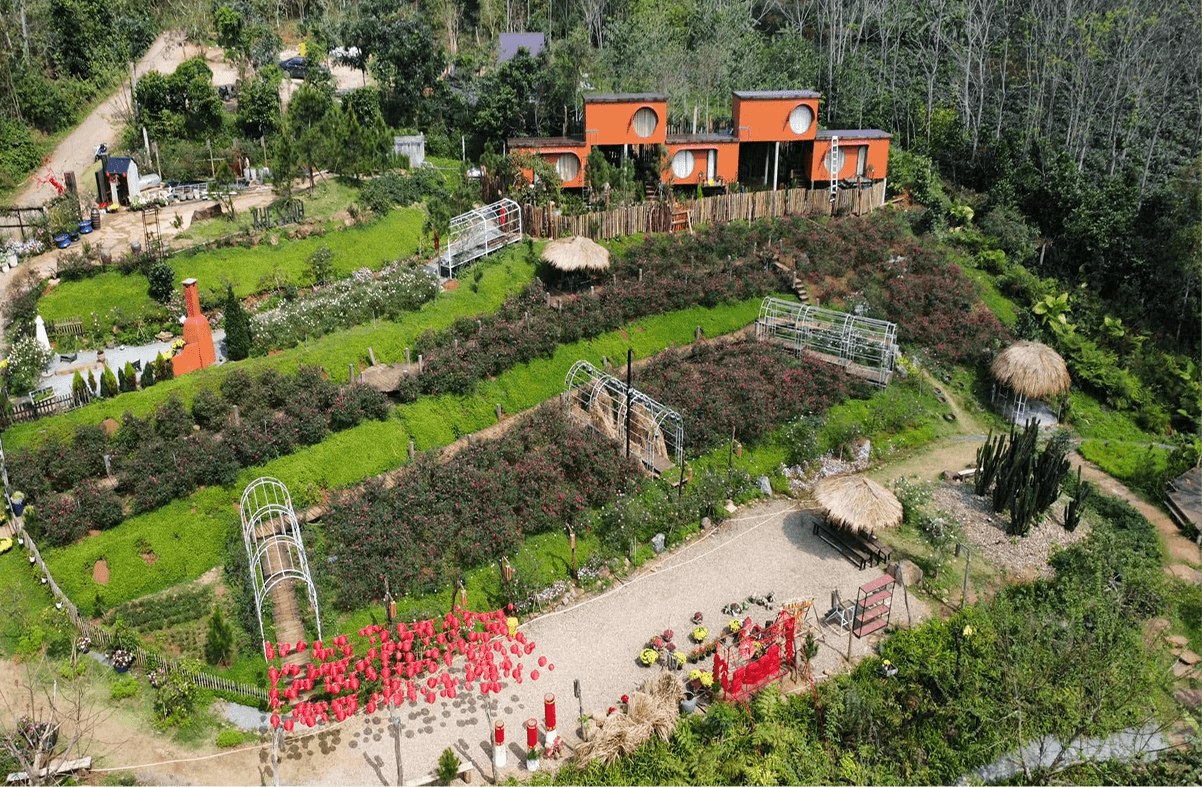 Troise Garden – góc vintage lãng mạn bên đồi thông Khe Sanh