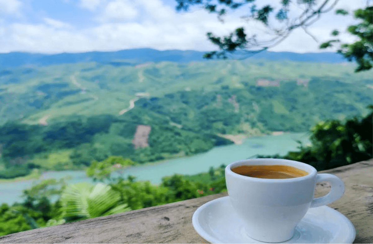 Vươn ra thế giới bằng chất lượng của vùng đất Quảng Trị