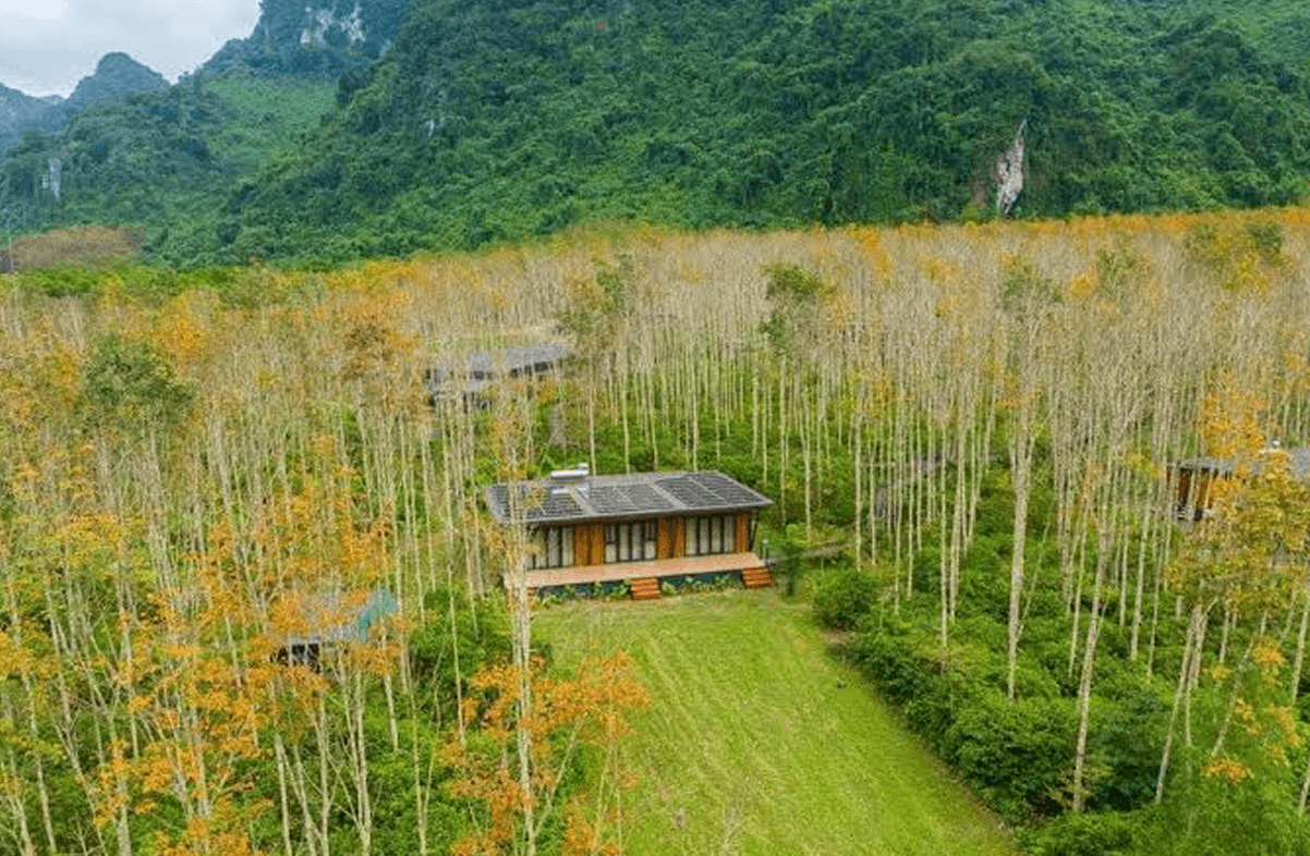 Eco House - Nghỉ giữa thiên nhiên