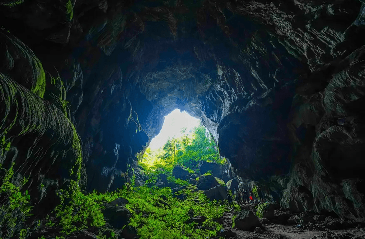 Hệ sinh thái rừng nguyên sinh đa dạng