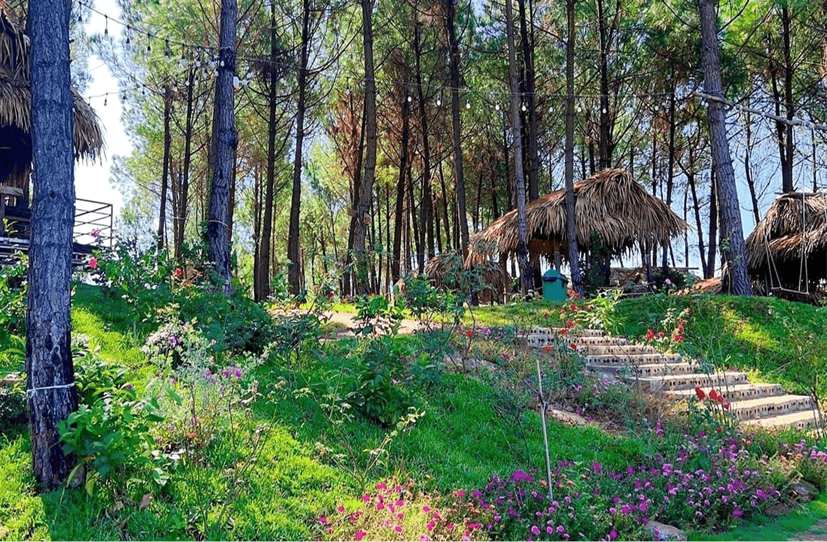 Thời điểm lý tưởng để khám phá đồi Mây Đắng